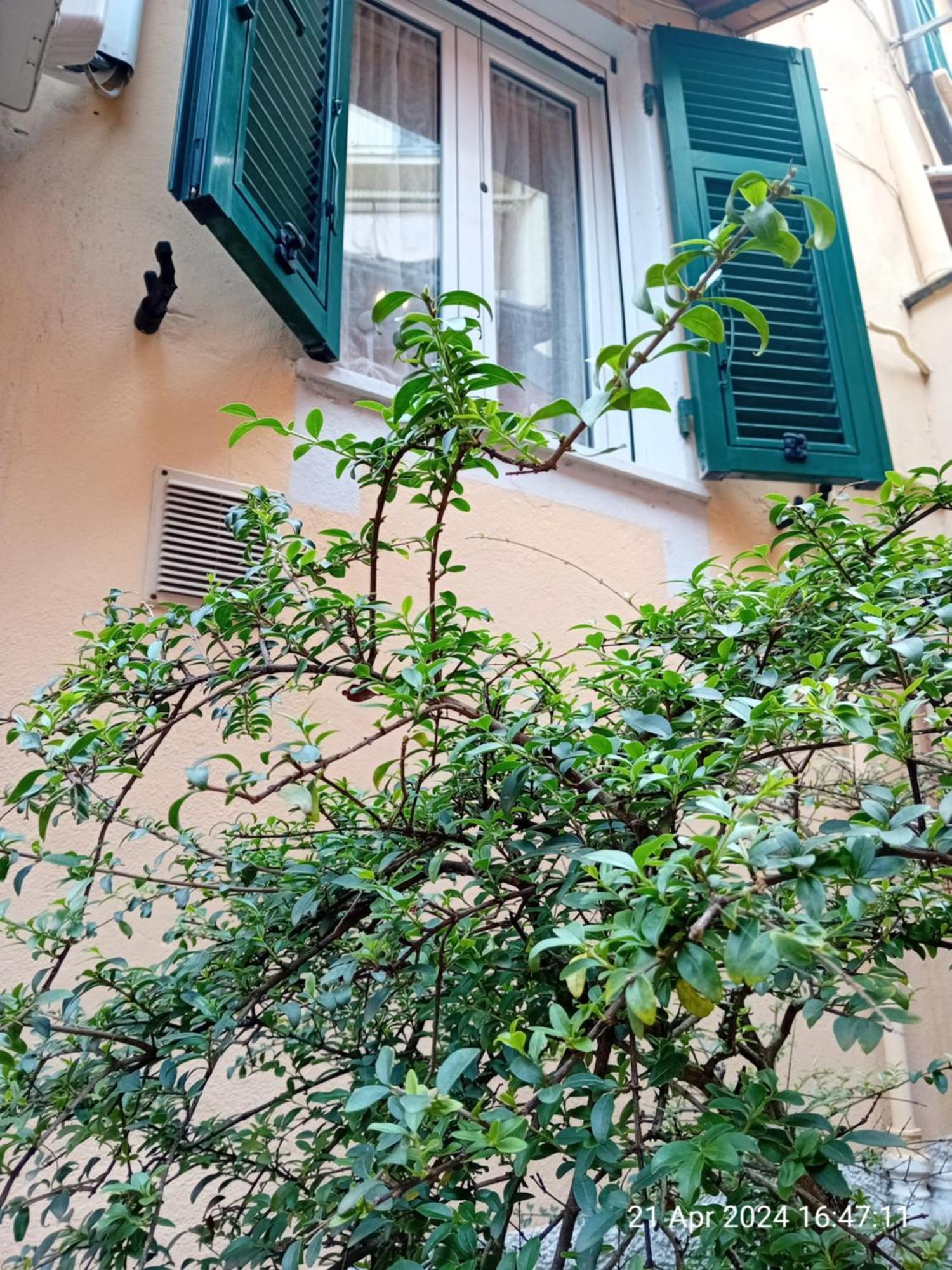 Appartamento Il Vicolo La Spezia Cinque Terre Экстерьер фото