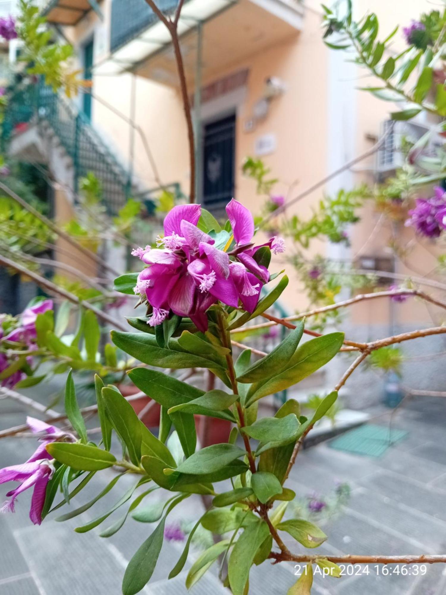 Appartamento Il Vicolo La Spezia Cinque Terre Экстерьер фото